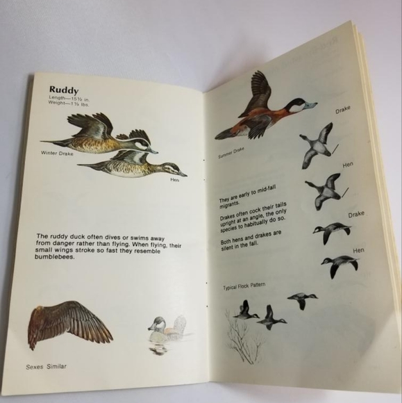 Vintage Ducks at Distance booklet - Picture 3 of 3